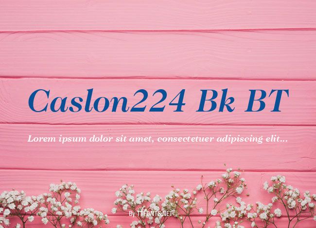 Caslon224 Bk BT example